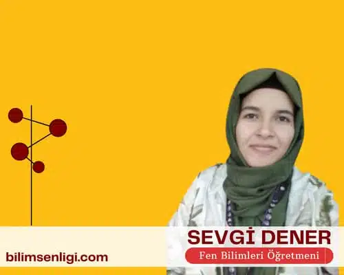 blog yazarı