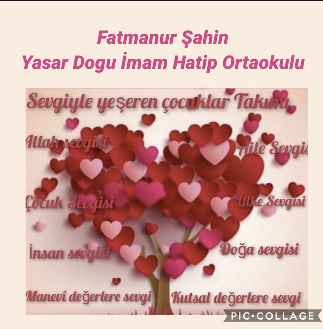 Takım afişim