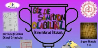 eTwinning