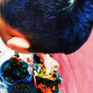 bebb6852a thumb Türkiye Eğitim Kampüsü