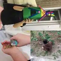 88888888888 Türkiye Eğitim Kampüsü