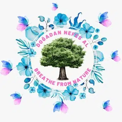 sefaff logo Türkiye Eğitim Kampüsü