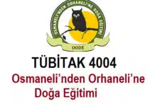 TÜBİTAK 4004