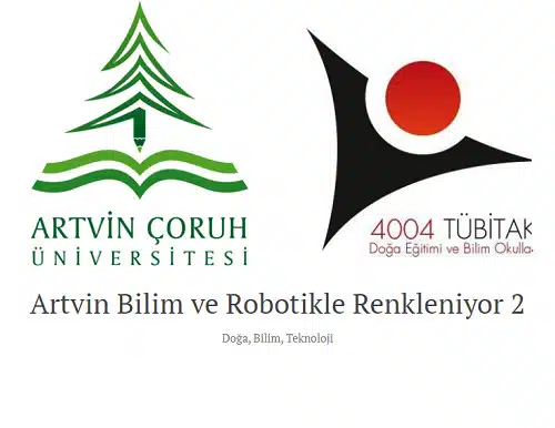 TÜBİTAK 4004