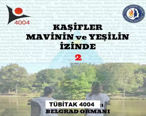 tubitak4004
