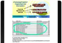 PROJELERİMİZİN YAYGINLAŞTIRMASI YAPILDI