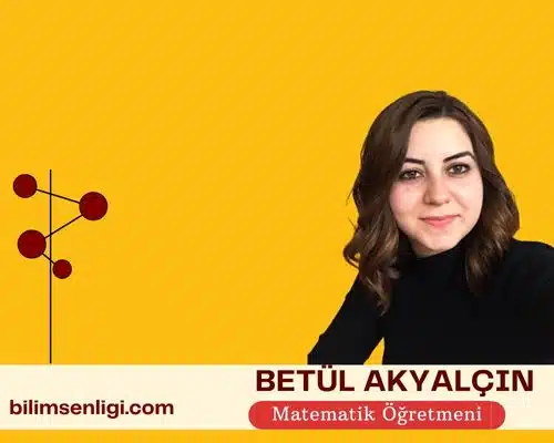 Blog yazarı