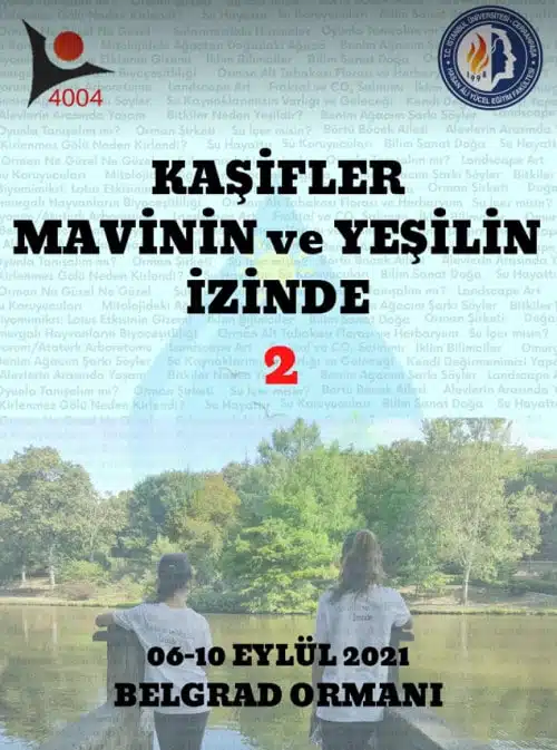 TÜBİTAK 4004