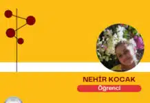 blog yazarı