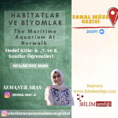 2. Uluslararası Sanal Müze Gezisi 2 sanal müze eğitmen