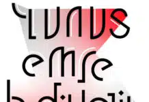 Üniversite Öğrencileri