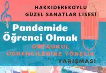 Pandemide Öğrenci