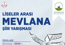 Liseler Öğrencileri