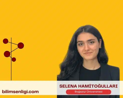 blog yazarı