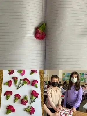 25 Bilim Şenliği