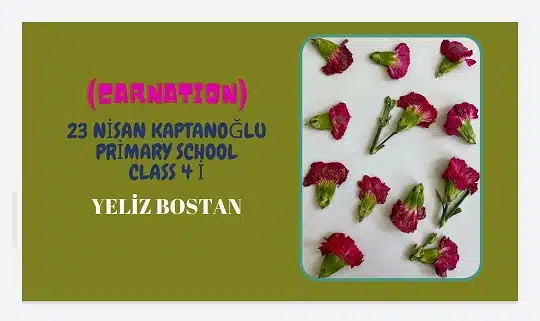 26 Bilim Şenliği