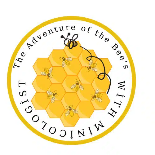 c0b21f6cb etwinning projesi