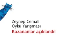 Öykü Yarışması
