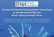 Deniz Okuryazarlığı Kursu