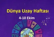 Öğretmen Etkinlikleri