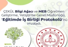 Öğretmen Eğitimi
