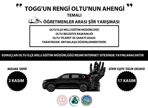 TOGG’UN Rengi