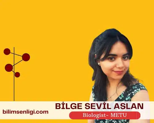 Blog Yazarı