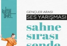 Ses Yarışmaları