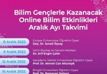 Lise Öğrencileri Çevrimiçi Atölyeler