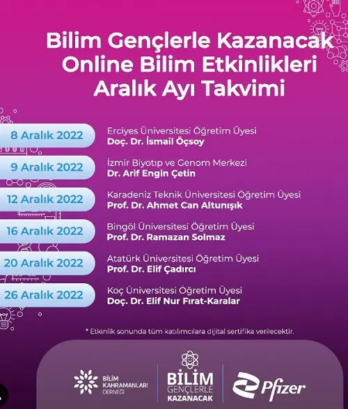 Lise Öğrencileri Çevrimiçi Atölyeler