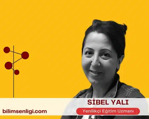 blog yazarı