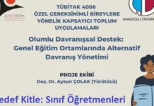 TÜBİTAK 4008