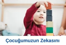 Çocuklarda Zekayı Geliştirmenin 10 Yolu çocukta zeka