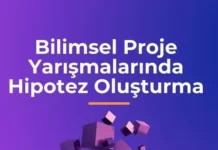 Hipotez Oluşturma