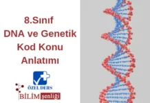DNA ve Genetik Kod