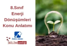 Enerji Dönüşümleri