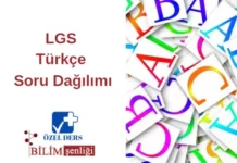 LGS Türkçe