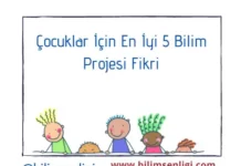 Bilim Projesi Fikri