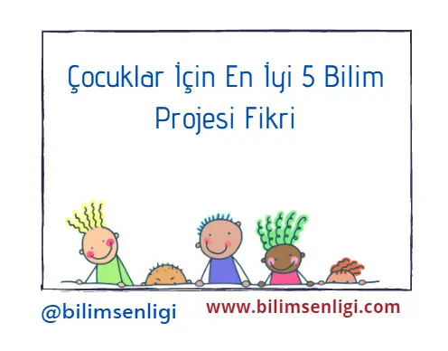 Bilim Projesi Fikri