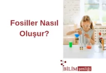 Fosiller