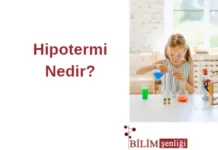 Hipotermi