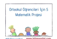 Ortaokul Öğrencileri İçin 5 Matematik Projesi Matematik Projesi
