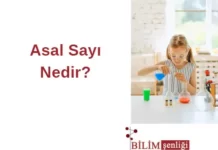 Asal Sayı