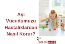 Aşı