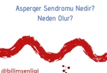 Asperger sendromu