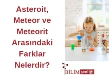Asteroit