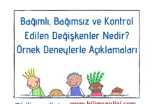 Bağımsız