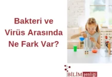 Bakteri ve Virüs