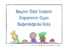 Beynin ödül sistemi