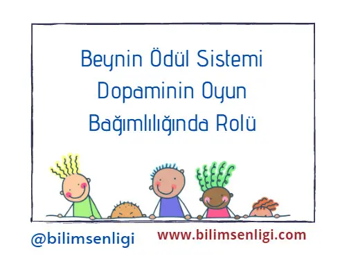Beynin ödül sistemi